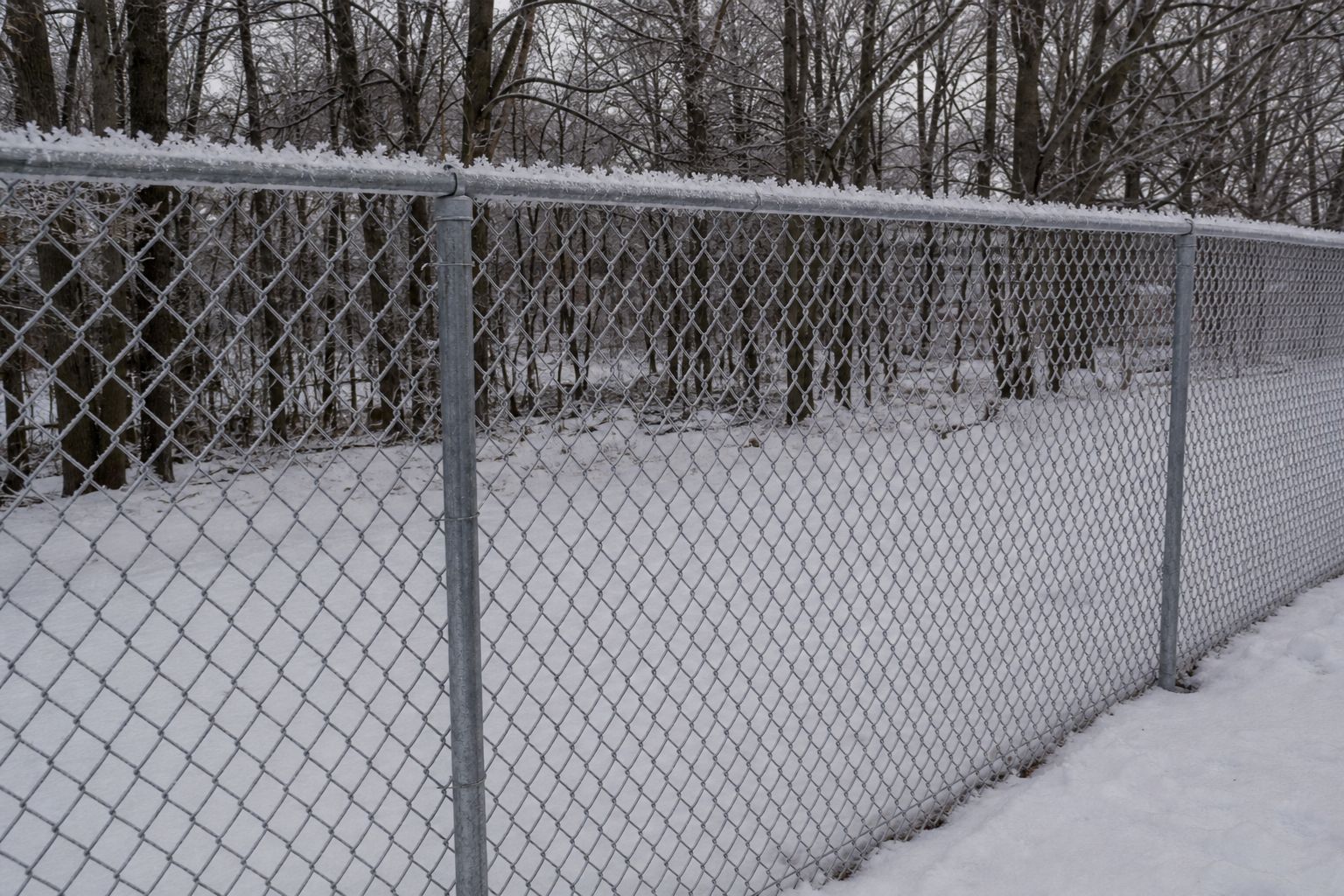 Chain Link Fencing